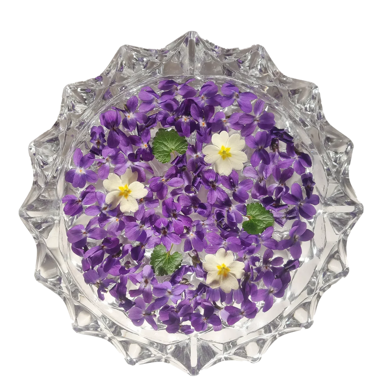 mandala violettes 2